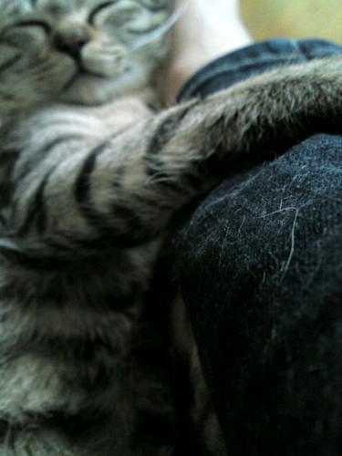 cafelix-2010-05-30T17_11_02-1-thumbnail2.jpg
